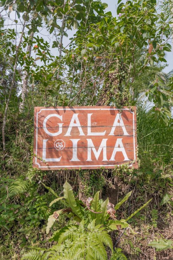 Отель Galalima Glamping By Agata Meliling Экстерьер фото